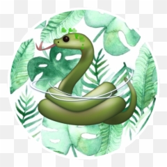 Use Credit If Used Pfp Slyther - Serpent Emoji