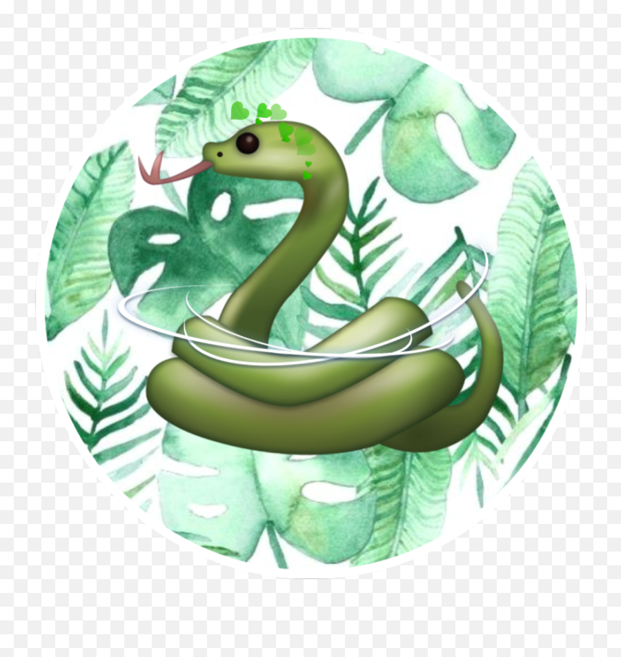 Use Credit If Used Pfp Slyther - Serpent Emoji,Snake Emoji Transparent