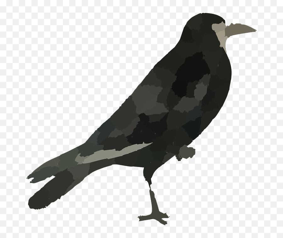 Raven Bird Hd Icon Favicon - Pajaro Negro Png Emoji,Raven Bird Emoji