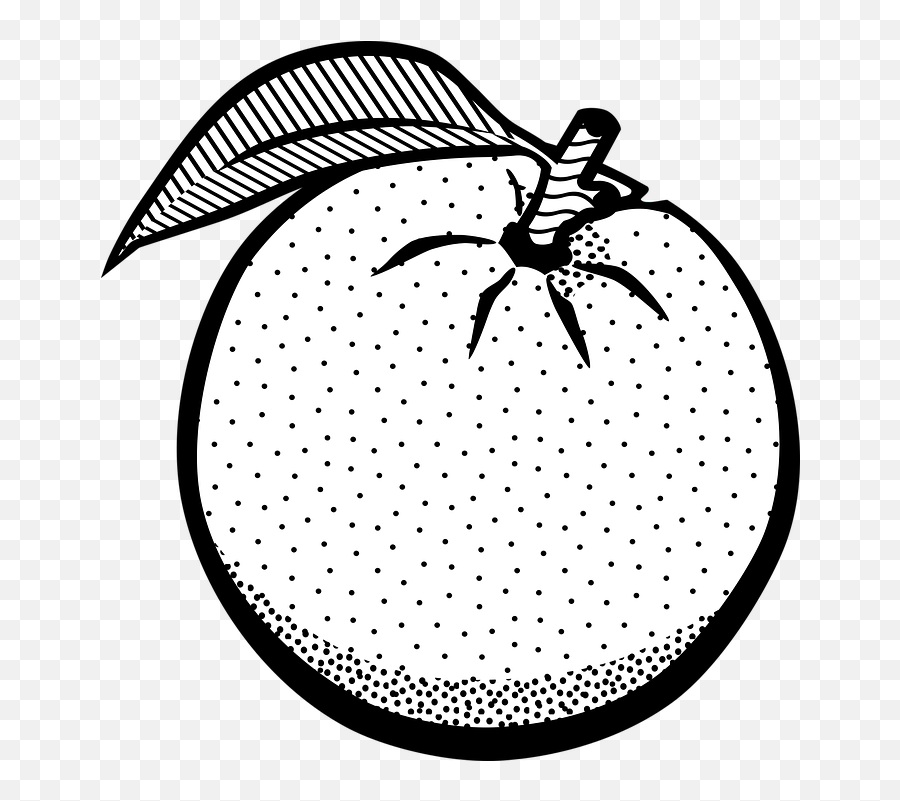 Free Citrus Fruit Lemon Vectors - Orange Clipart Black And White Emoji,Snap Emoticon