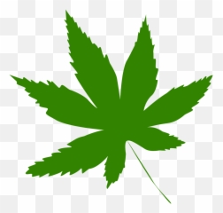 Icon Leaf Green Tree Nature Png Image Clipart - Full Size Maple Leaf Green Png Emoji,Maple Leaf Emoji