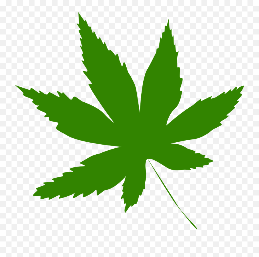 Icon Leaf Green Tree Nature Png Image Clipart - Full Size Maple Leaf Green Png Emoji,Maple Leaf Emoji