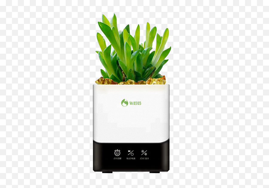 Smart Mini Garden Portable Bluetooth Speaker Led Light Flower Pot - Flowerpot Emoji,Potted Plant Emoji