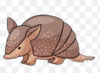 Armadillo - Easy Drawings Of Armadillos Emoji,Armadillo Emoji