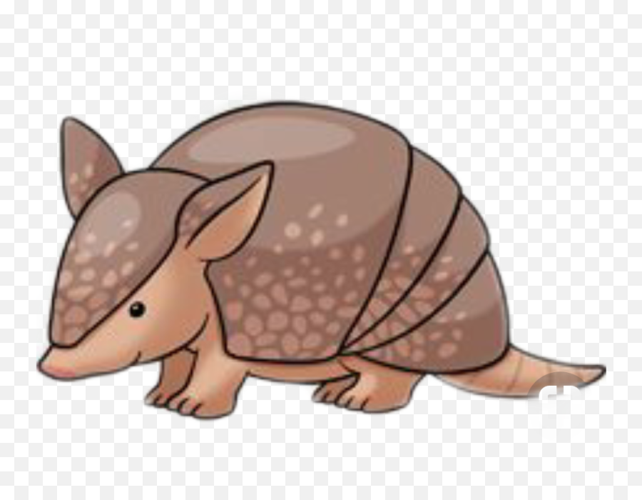 Armadillo - Easy Drawings Of Armadillos Emoji,Armadillo Emoji