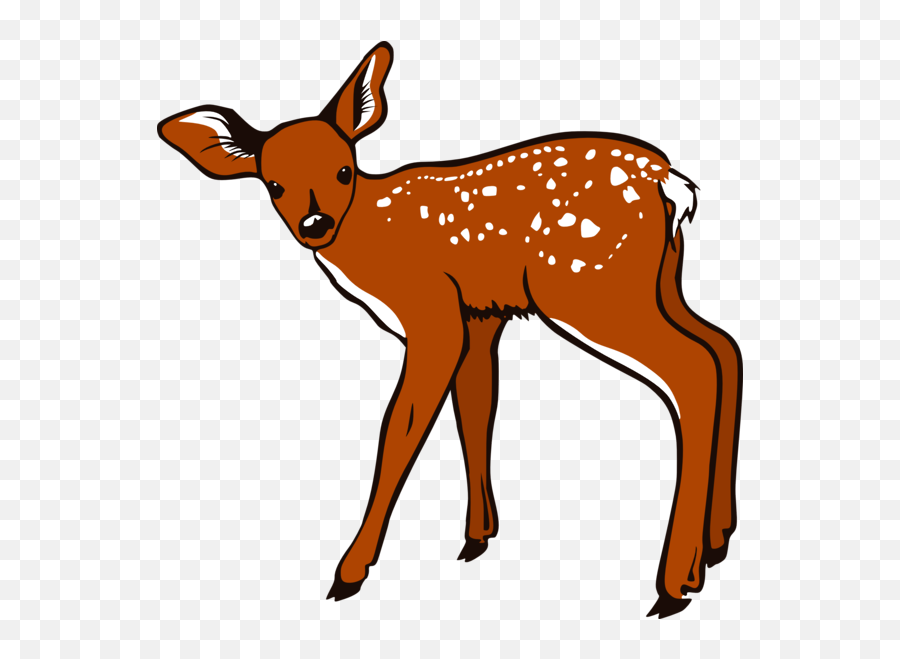 Cute Baby Deer Clipart Free Clipart - White Tailed Deer Clipart Emoji,Whitetail Deer Emoji