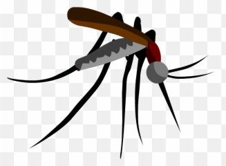 Parasitism Drawing Mosquito Picture 1449345 Parasitism - Transparent Background Mosquito Clipart Emoji,Mosquito Emoji