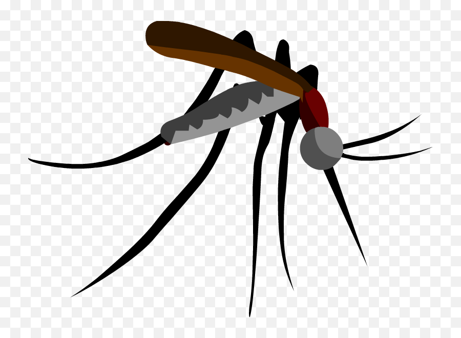 Parasitism Drawing Mosquito Picture 1449345 Parasitism - Transparent Background Mosquito Clipart Emoji,Mosquito Emoji