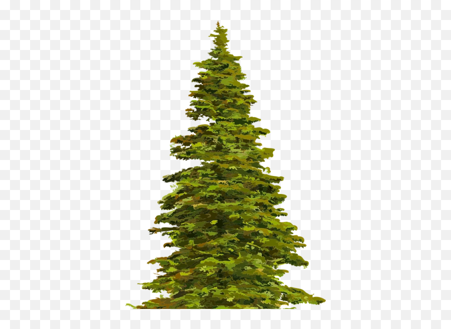 Evergreen Png And Vectors For Free - Hill Tree Png Emoji,Evergreen Tree Emoji
