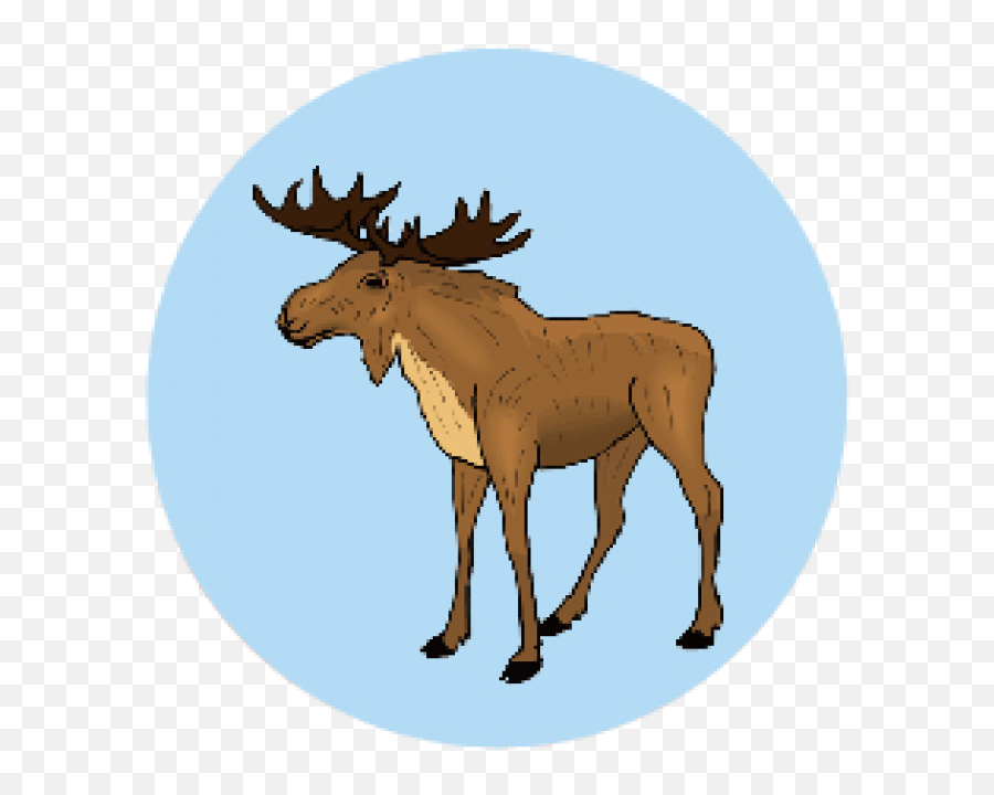 American Wildlife Pins - Brake For Moose Emoji,Moose Emoji
