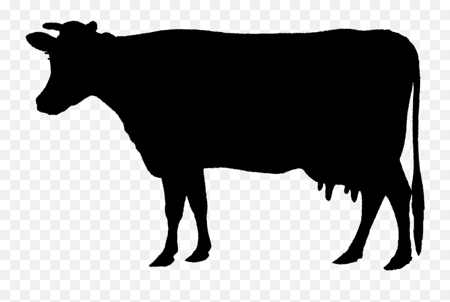 Holstein Friesian Cattle Animal Silhouettes Calf Beef Cattle - Farm Animals Silhouette Png Emoji,Cow And Man Emoji