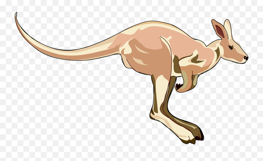 Australia Kangaroo Mammal Marsupial Hopping Animal A - Kangaroo Clip Art Emoji,Kangaroo Emoji