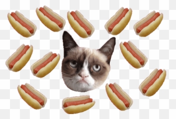Top King Cats Eye Stickers For Android - Grumpy Transparent Gif Emoji
