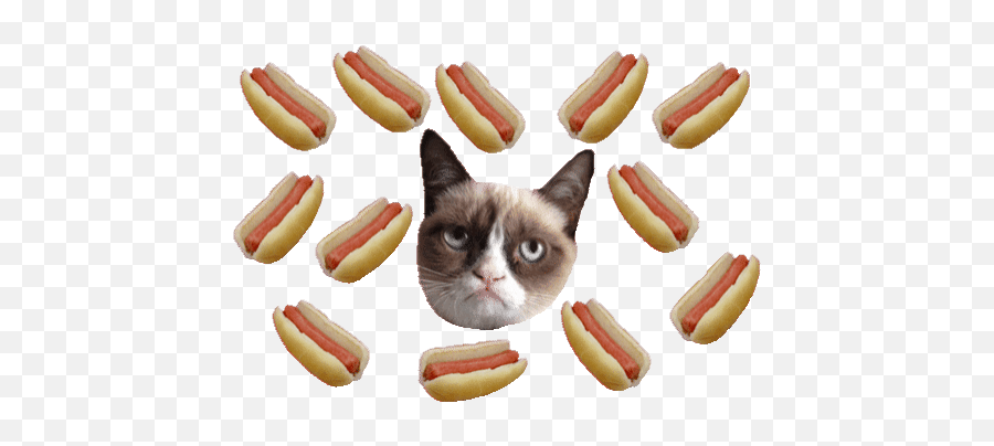 Top King Cats Eye Stickers For Android - Grumpy Cat Transparent Gif Emoji,Grumpy Cat Emoji Android