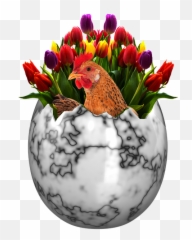 Free Photo Easter Easter Eggs Happy Easter Easter Egg Emoji,Flower Emoticon
