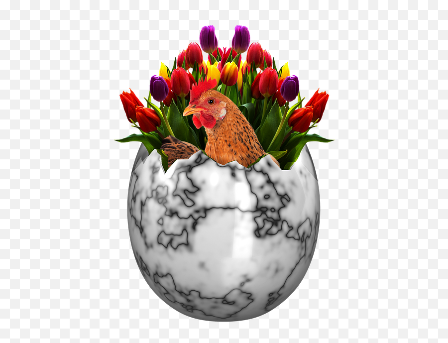Free Photo Easter Easter Eggs Happy Easter Easter Egg Emoji,Flower Emoticon