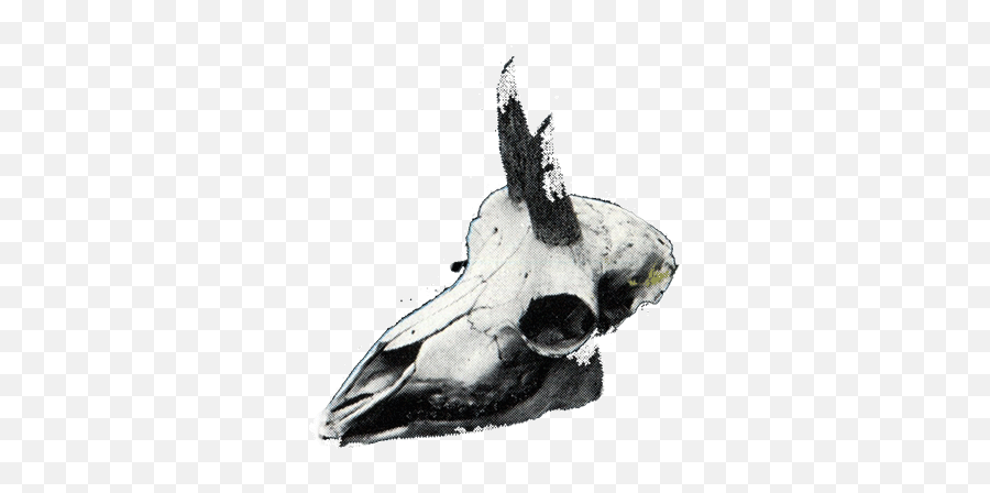 Top Mystery Skulls Stickers For Android U0026 Ios Gfycat - Animal Skull Pixel Art Gif Emoji,Dead Skull Emoji