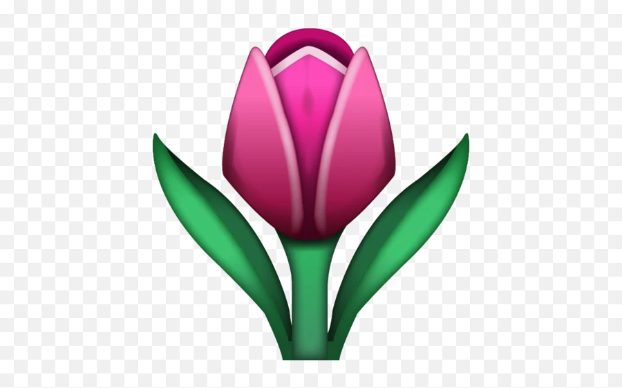 Tulip Emoji Icon - Tulip Emoji Png,Flower Emojis