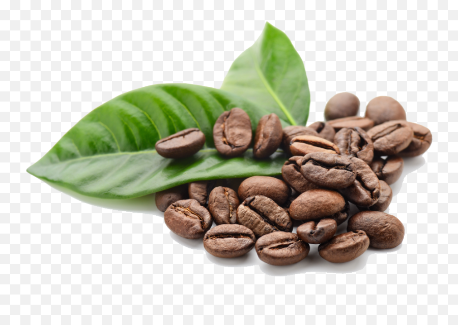 Download Coffee Beans Free Png Image Hq - Roasted Coffee Beans Png Emoji,Coffee Bean Emoji