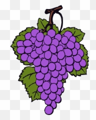Grapes Clipart Violet Grapes Violet Transparent Free For - Grape Cartoon Emoji,Grape Emoji