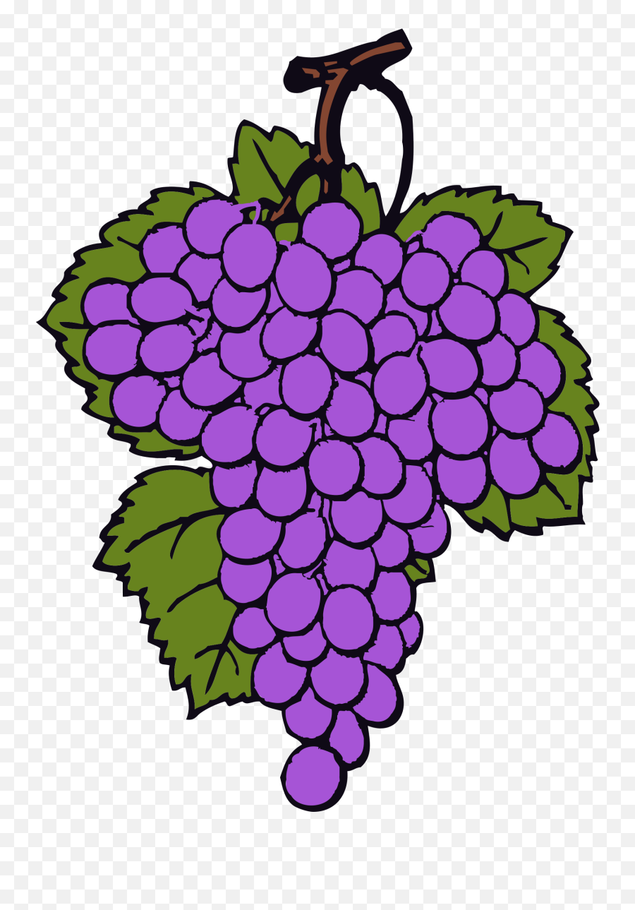 Grapes Clipart Violet Grapes Violet Transparent Free For - Grape Cartoon Emoji,Grape Emoji