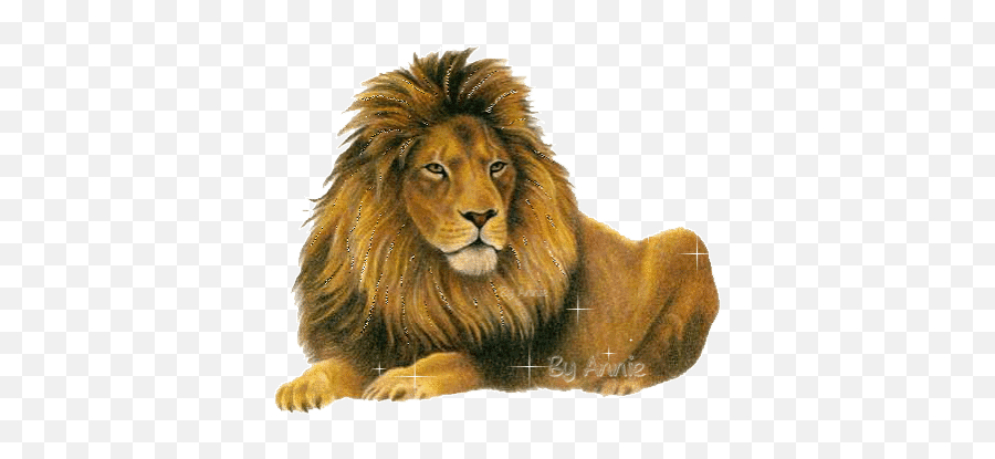 Lion Of Judah Stickers For Android - Roaring Lion Animated Gif Emoji,Lion Emoticons