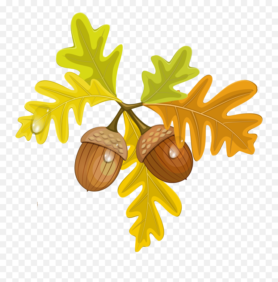 Fall Acorns Clip Art - Leaves And Acorns Clipart Emoji,Acorn Emoji