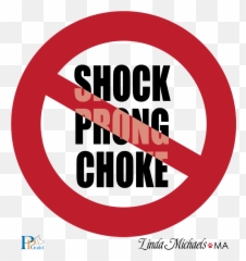 Hierarchy of Dog Needs Chat on Positive Pet Advice Linda - No Shock Prong Choke Emoji
