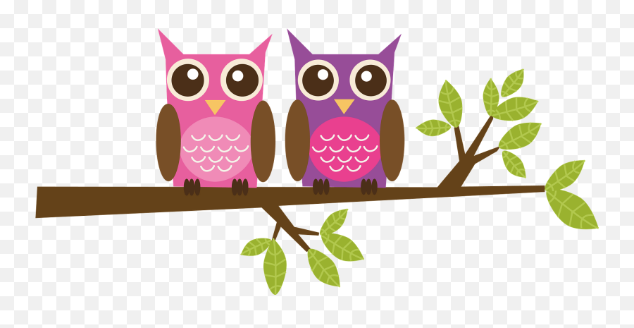 Cartoon Owls On Branch Clipart Free Download Transparent - Owl Cartoon Emoji,Emoji Owl