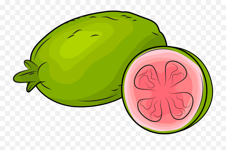 Fresh Guavas Clipart Free Download Transparent Png Creazilla - Guava Clipart Png Emoji,Grapefruit Emoji