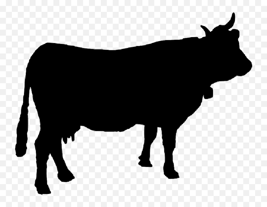 Cattle More Cowbell Emoji - Silhouette Cow Png,Cowbell Emoji