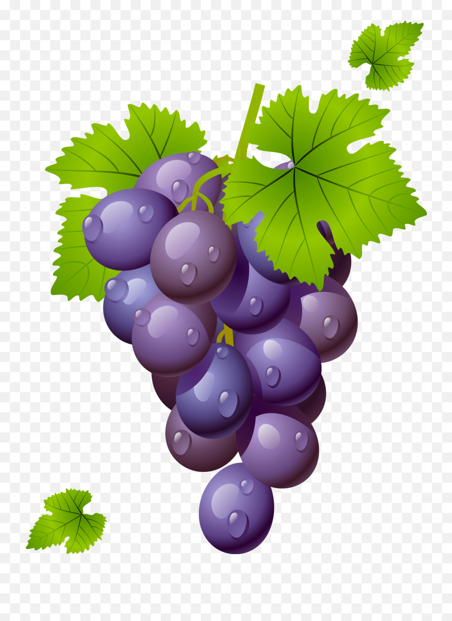 Grapes Grape Clipart Grapeclipart Fruit Clip Art Photo 2 - Grapes Clipart Png Emoji,Grape Emoji