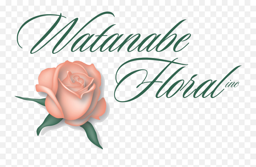 Watanabe Floral Flower Delivery Voted Hawaiiu0027s Best Florist - Watanabe Floral Emoji,White Flower Emoji