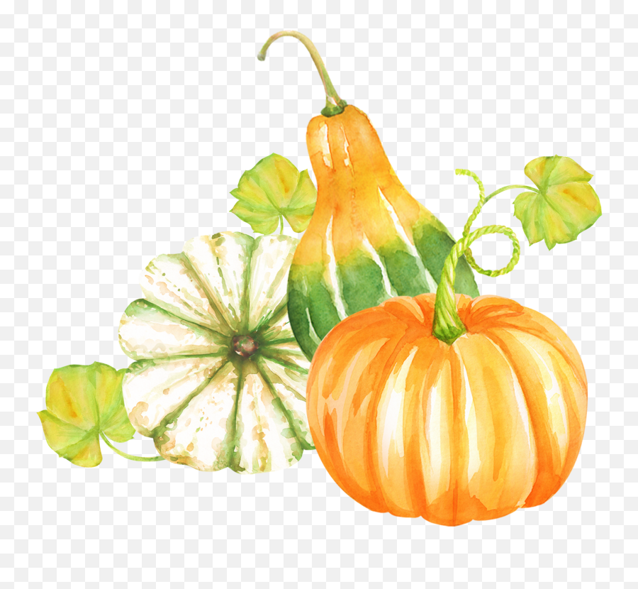 Pumpkins Vector Watercolor Picture Emoji,Pumpkin Emoji Facebook