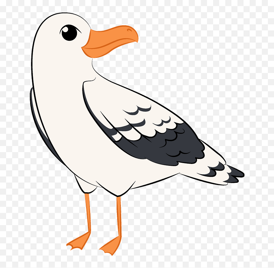 Seagull Clipart - Seagull Clipart Png Emoji,Seagull Emoji