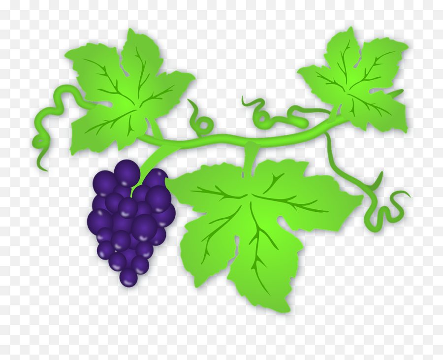 Free Wine Alcohol Vectors - Clip Art Grapes Leaf Emoji,Relaxed Emoticon