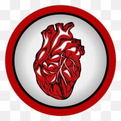 3 keys to effective communication with your doctor part 2 - Real Heart Clipart Transparent Background Emoji