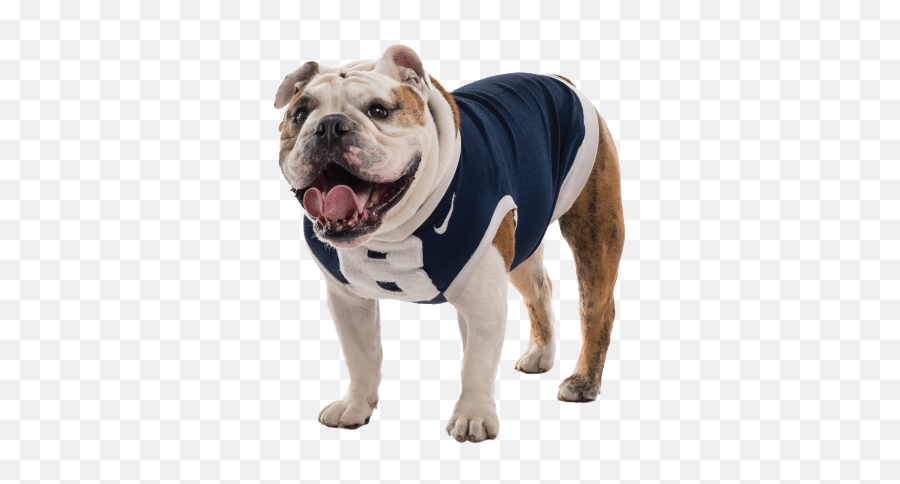 Stickers And Gifs Butleredu - Dog Clothes Emoji,Bulldog Emoji