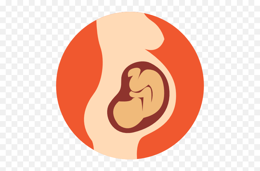 Computer Icons Pregnancy Fetus Infant - Pregnancy Png Emoji,Pregnancy Emoji