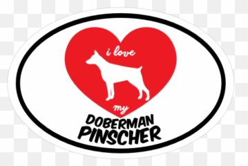 Handwritten I Love My Doberman Pinscher With Heart Oval Sticker - Chihuahua Emoji,Chihuahua Emoji