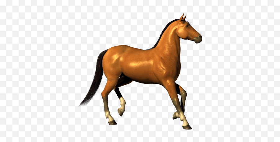 Free Png Images U0026 Free Vectors Graphics Psd Files - Dlpngcom Horse Png Emoji,Horse Arm Emoji