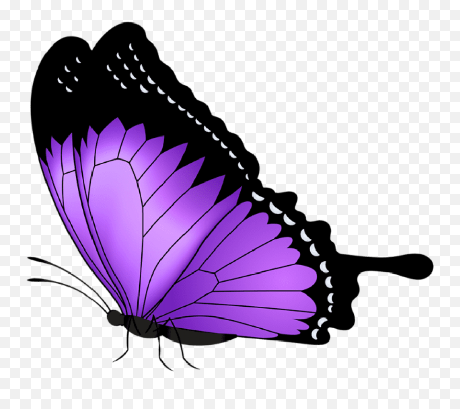 Purple Butterfly Transparent Clipart - Transparent Background Purple Butterfly Clipart Emoji,Butterfly Emoji Png