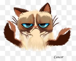 Grumpy Cat Kitten Cats And The Internet - Horoscope Signs Emoji