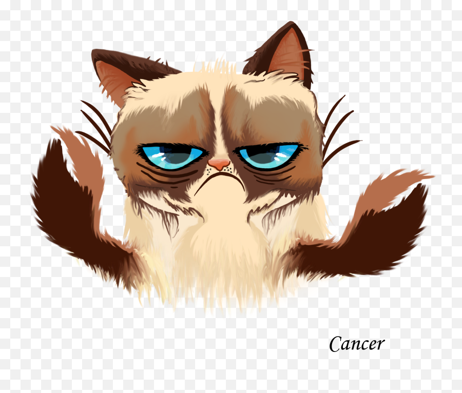 Grumpy Cat Kitten Cats And The Internet - Grumpy Cat Horoscope Signs Emoji,Grumpy Cat Emoji