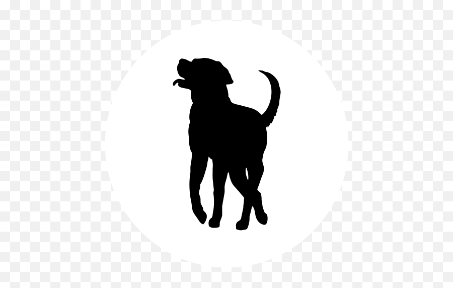 Labrador Retriever Puppy Dog Breed Golden Retriever Pembroke - Statue Of Liberty National Monument Emoji,Golden Retriever Emoji