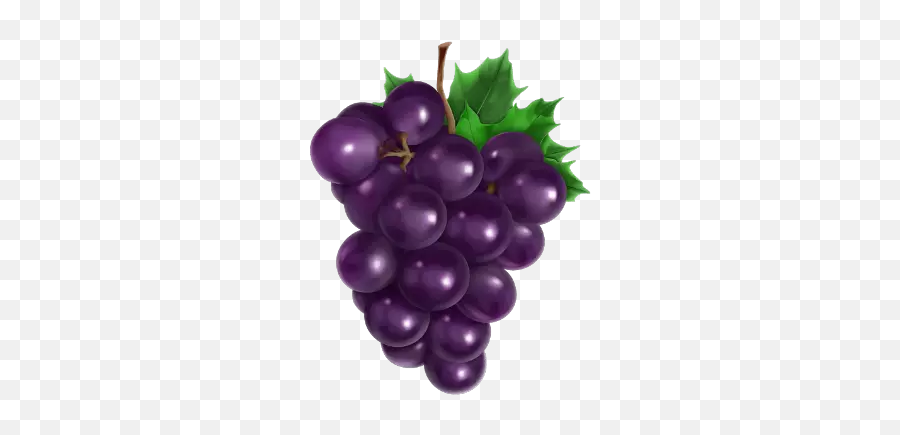 Largest Collection Of Free - Grapes Clipart Png Emoji,Grape Emoji