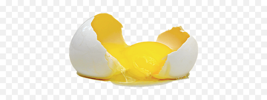 Ovo - Transparent Cracked Egg Png Emoji,How To Get The Ovo Emoji