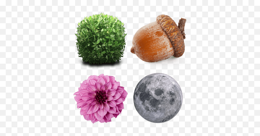 Free Transparent Png Images Stickers No Background - Moon Psd Free Download Emoji,Acorn Emoji