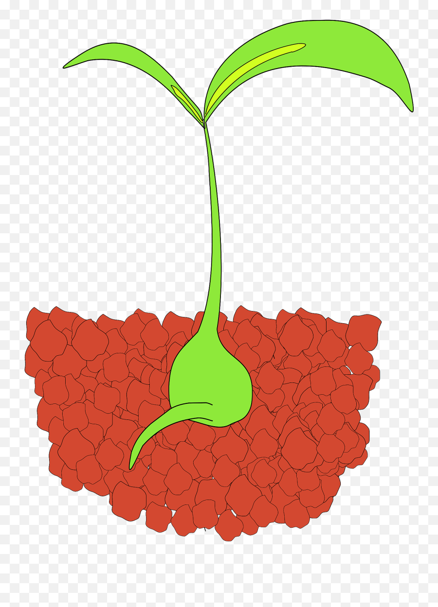 Seedling Clipart - Seedling Clip Art Emoji,Sprout Emoji