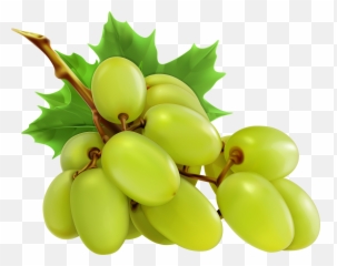 Grapes Clipart Red Grape - Grapes Clipart Png Emoji,Grape Emoji